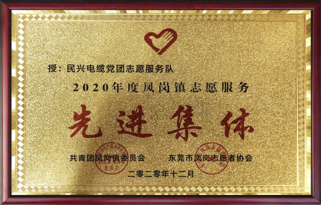 乐虎国际lehu9888党团志愿服务队蝉联“先进集体”荣誉称号